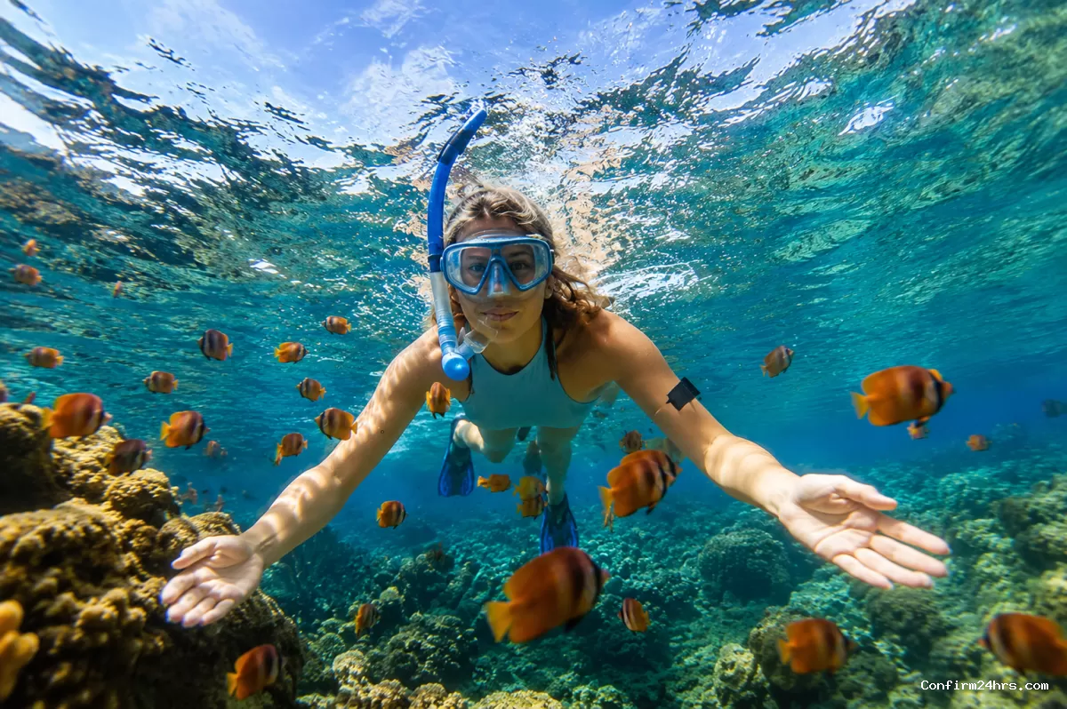 Snorkeling at Elephant Beach