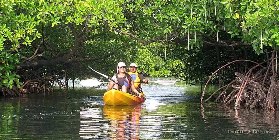 Sunset Kayaking at Havelock